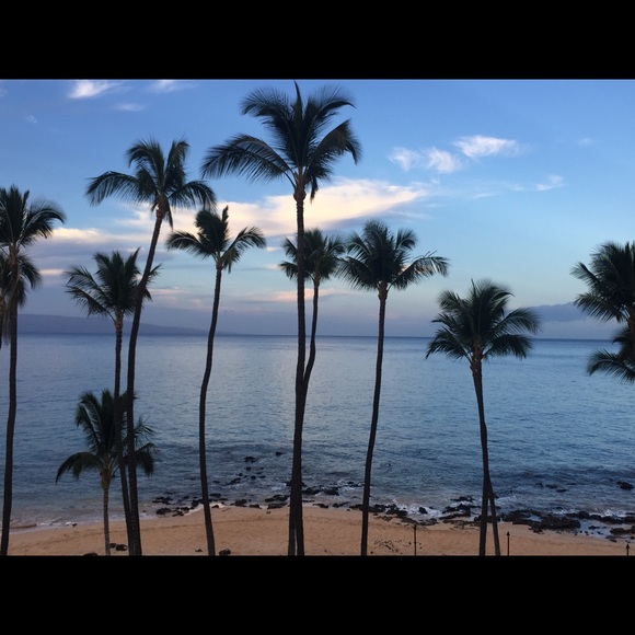 Meet your Posher, Ms Montara Beach - Picture 8 of 16